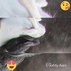 Meet your Posher, Sameena